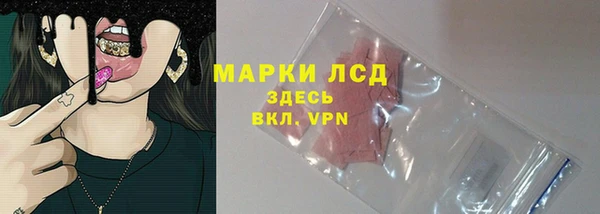 крисы Абаза