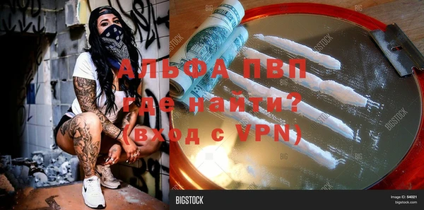 крисы Абаза