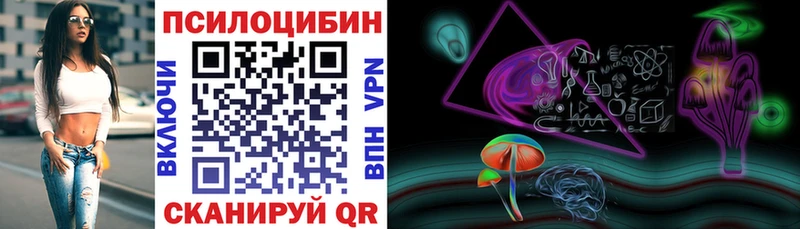 где можно купить наркотик  MEGA вход  Галлюциногенные грибы мицелий  Западная Двина 